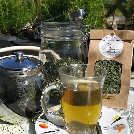 La Noyeraie Κατάλυμα σε φάρμα